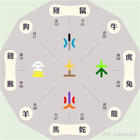 生肖 五行屬性|十二生肖五行属性对照表